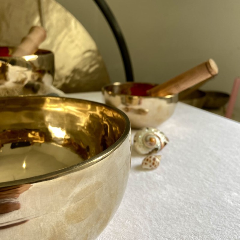 Set professionnel de 3 bols : Passion
