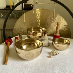 Set professionnel de 3 bols : Passion