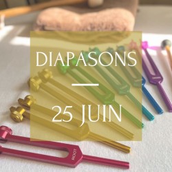 Formation Massage Sonore aux Diapasons - 25 Juin 2024 - 1 jour