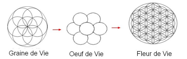 La Fleur de Vie : quelle est sa signification ?