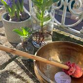 C’est l’occasion de se procurer son bol durant nos ventes privées ! On vous attends sur le site et en magasin (lien en bio) 😁

#montpellier #decorationexterieur #jokatpandora #meditation #fleurs #boltibetain #serelaxeramontpellier