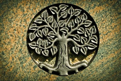 L'arbre de vie :  Signification et bienfaits